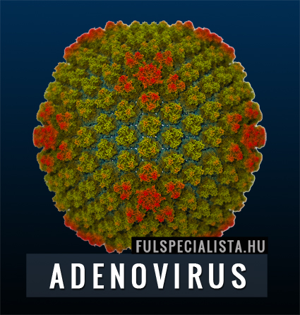 natha adenovirus megfázás