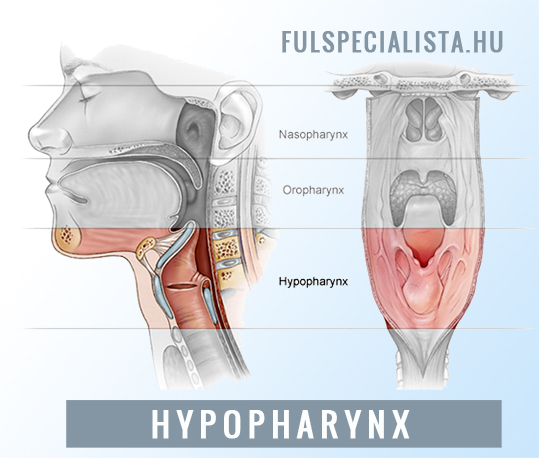 Hypopharynx