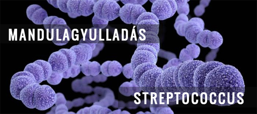 streptococcus mandulagyulladás gócós mandula